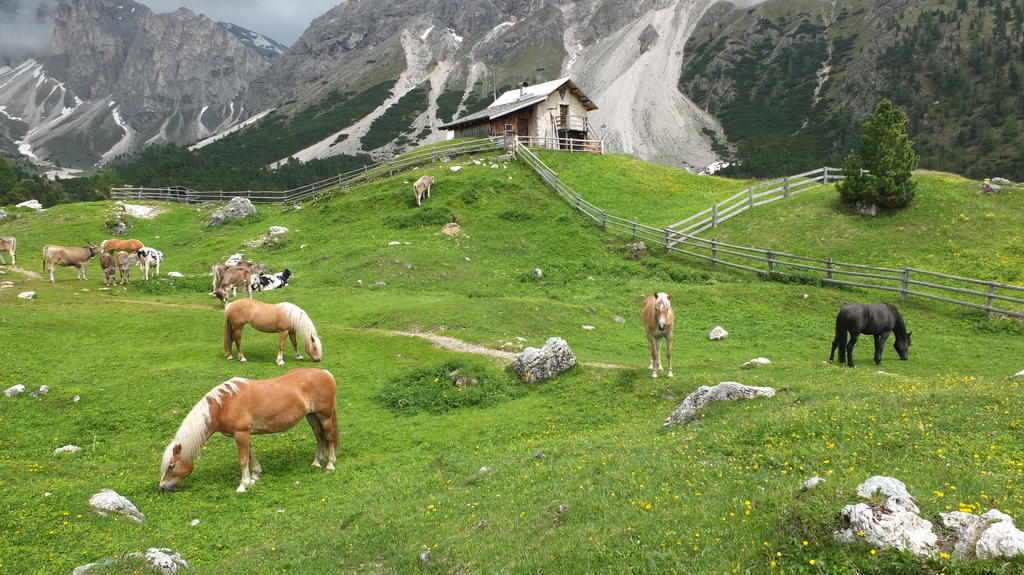 加尼小屋 Santa Cristina Val Gardena 外观 照片
