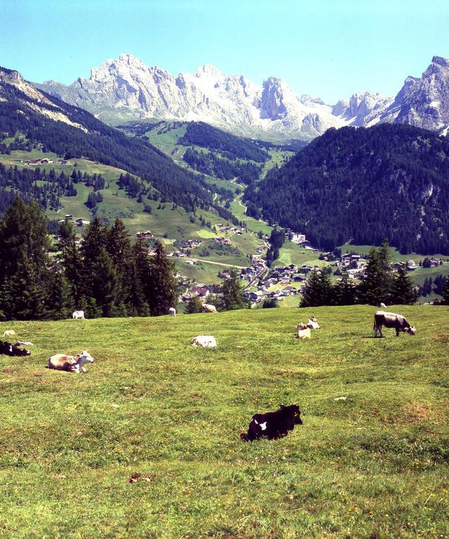 加尼小屋 Santa Cristina Val Gardena 外观 照片