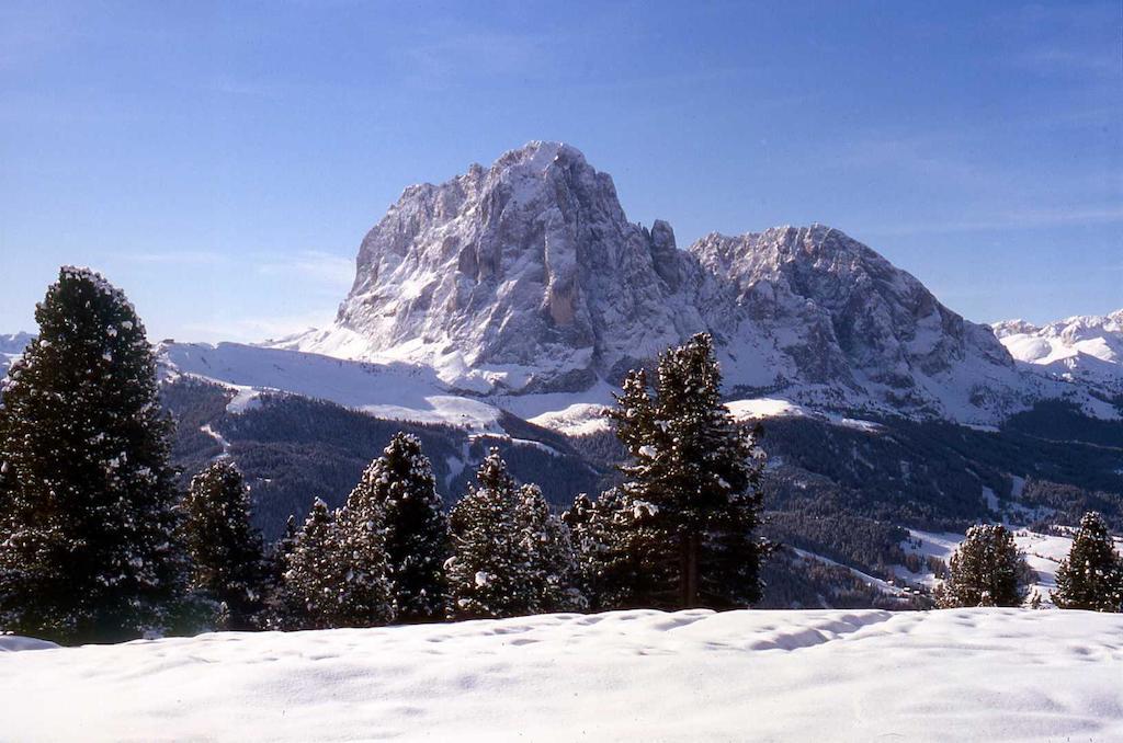 加尼小屋 Santa Cristina Val Gardena 外观 照片