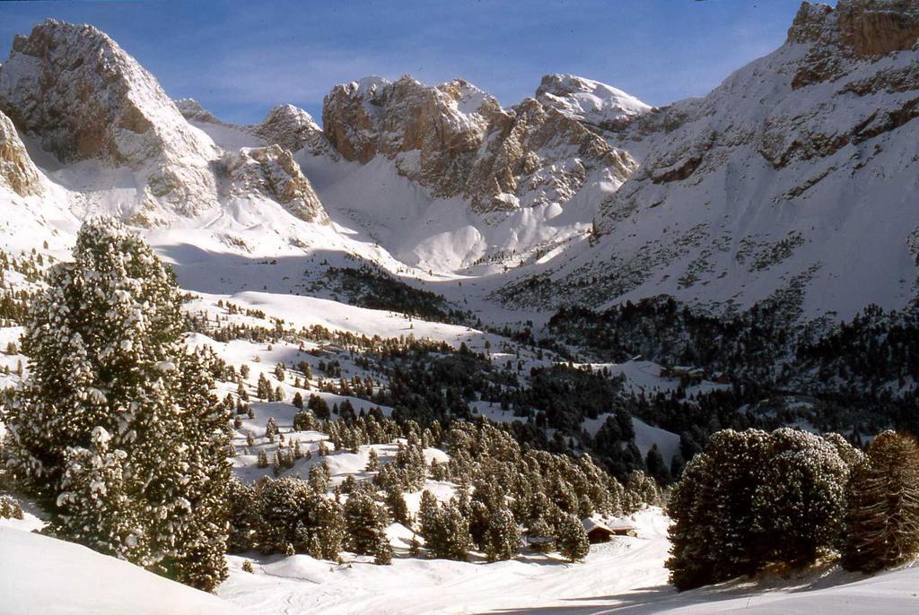 加尼小屋 Santa Cristina Val Gardena 外观 照片